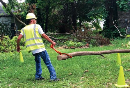 man pulling log
